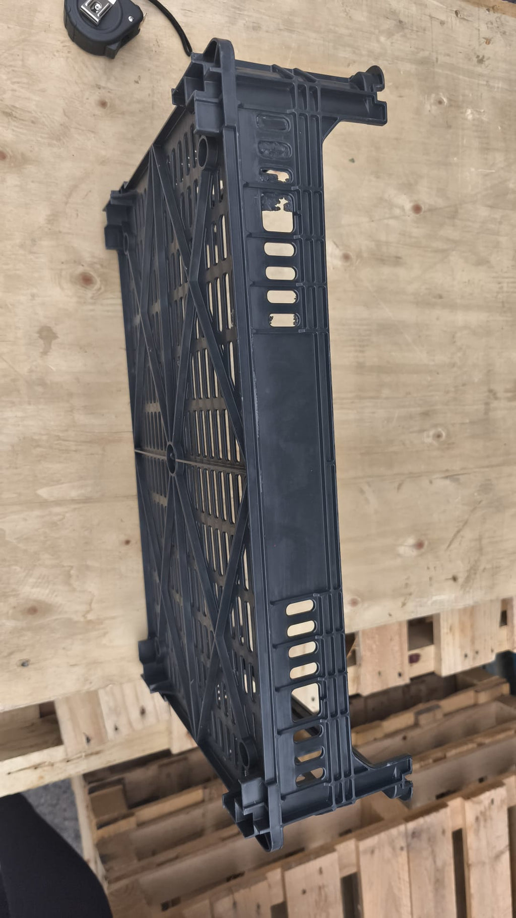 Cajas de Champiñones