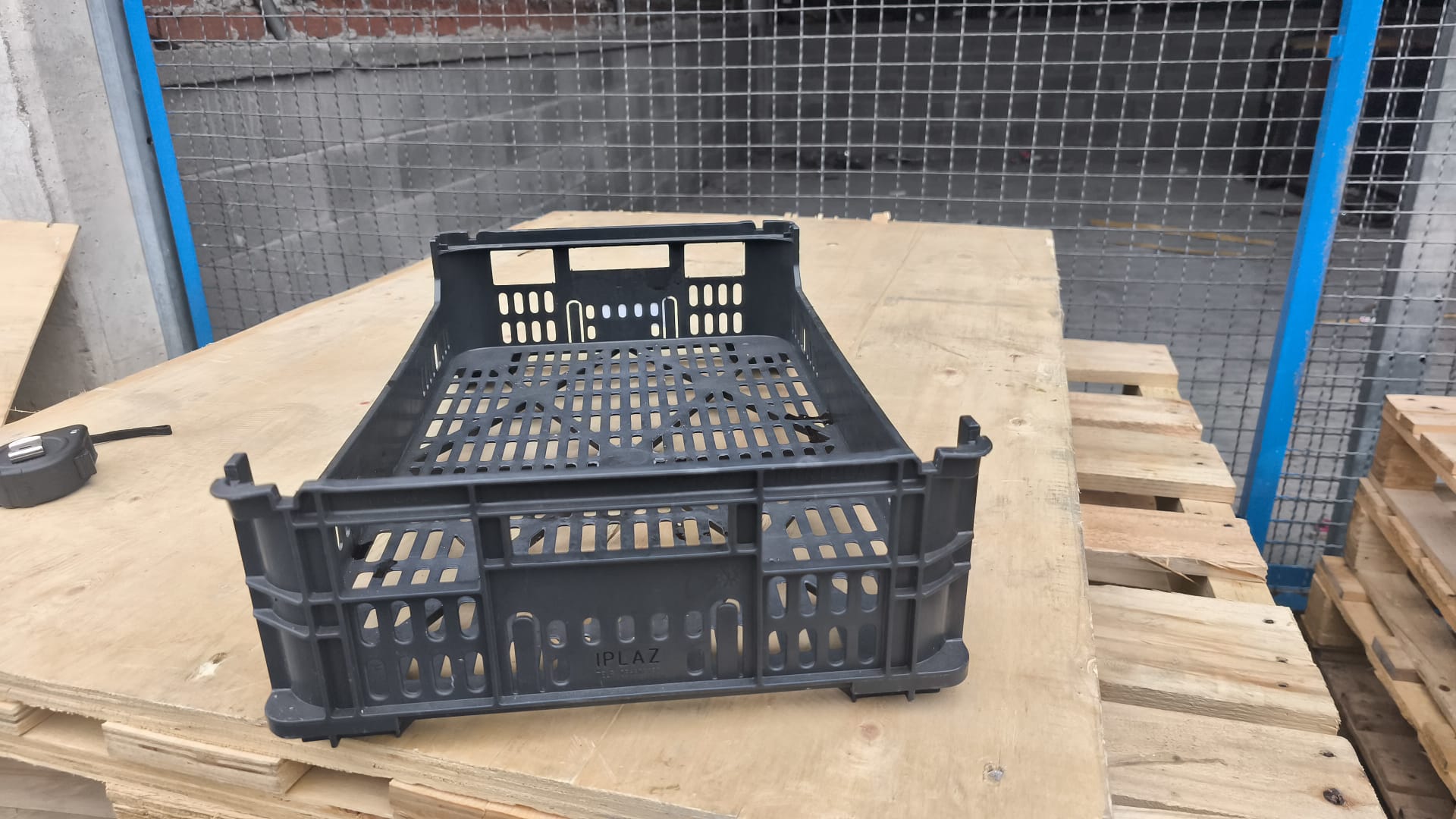 Cajas de Champiñones