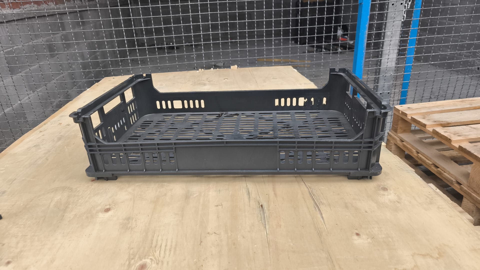 Cajas de Champiñones